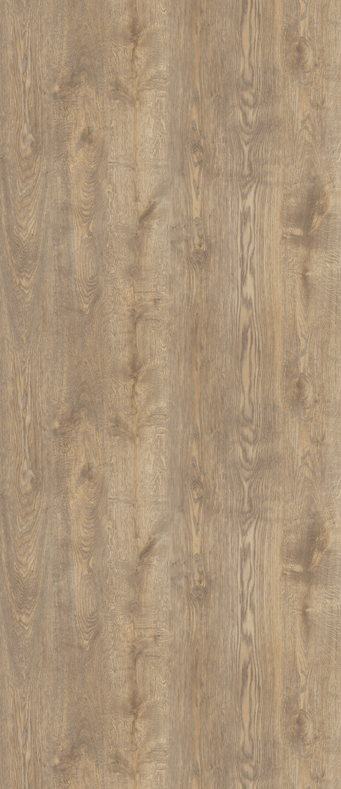 Кромка Duco 7249/Ar Nevada Oak 23х1 мм АБС (110 м)