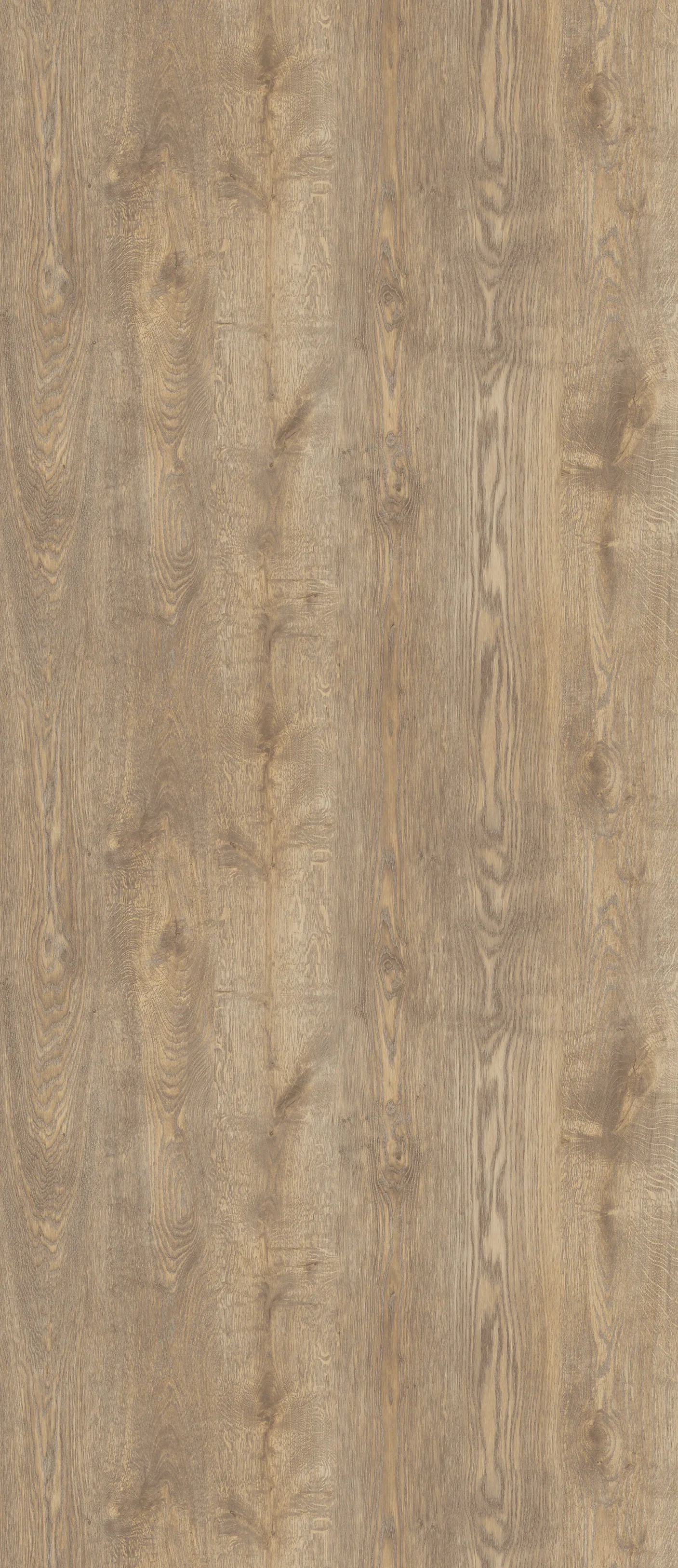 Кромка Duco 7249/Ar Nevada Oak 23х1 мм АБС (110 м)