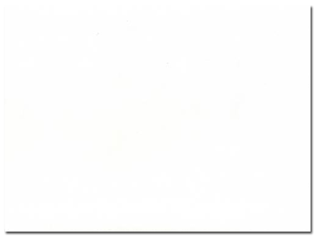 Кромка HPL с клеем 1111/S White 45х0,5 мм (3 м)