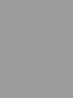 Плита TSS Duco 1479/St Pietra Argento 2440х1830х19 мм //SBP1-d2-00-DM2-11