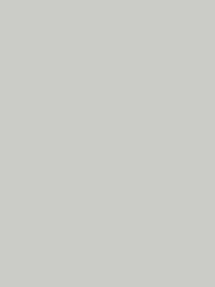 Плита TSS Duco 1461/Ur Lund 2440х1830х18 мм //SBP1-с-00-DM2-11