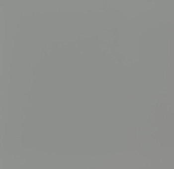 Фасад Стальной Графит EVS005 1220 x 2800 х 18 mm  Evosoft