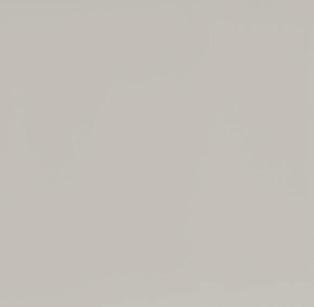 Фасад Белый Фарфоровый Оникс EVS001 1220 x 2800 х 18 mm  Evosoft